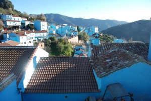 No, you´re not imagining it: the sleepy village of Júzcar is Sony´s official ´smurf village´and the Genal Valley´s only pueblo azul